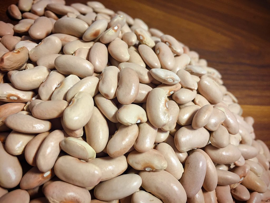 Agricultural beans