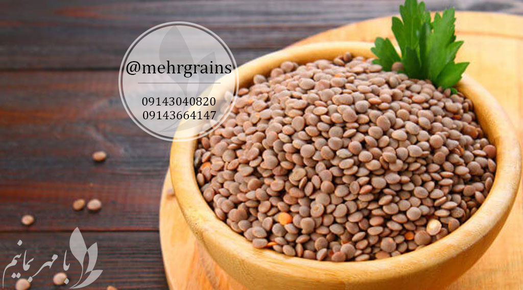 mehrgrains.baner.photo.leants