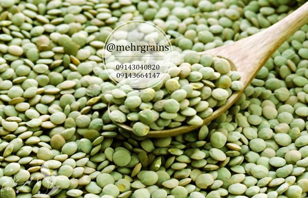 خواص عدس و نحوه ذخیره سازی آن