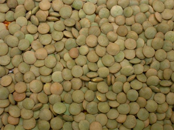 Canadian lentils.photo