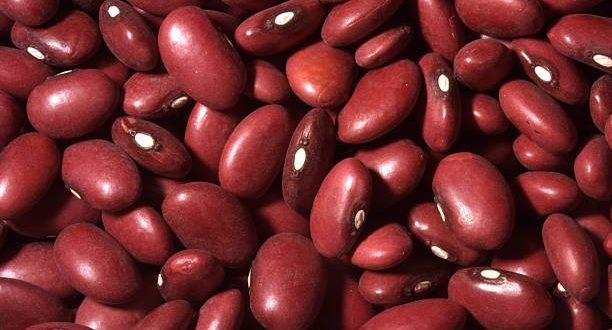 Coarse red beans.photo