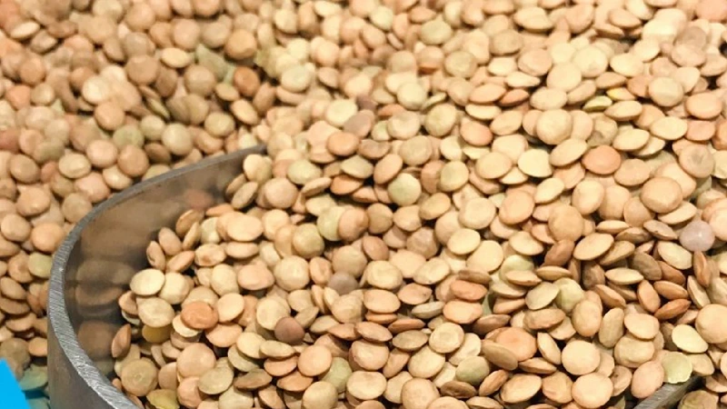 تفاوت عدس ایرانی و خارجی