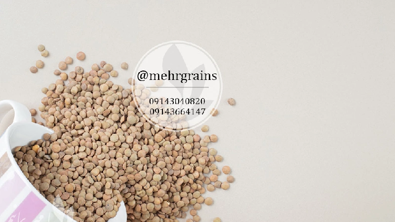 تفاوت عدس روس و کانادا