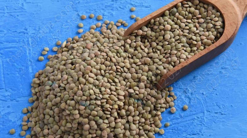 تفاوت عدس روس و کانادا