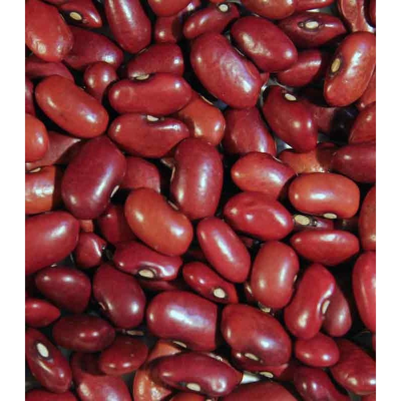 mehrgrains.photo.Red beans
