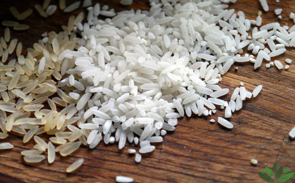 photo.Champa rice