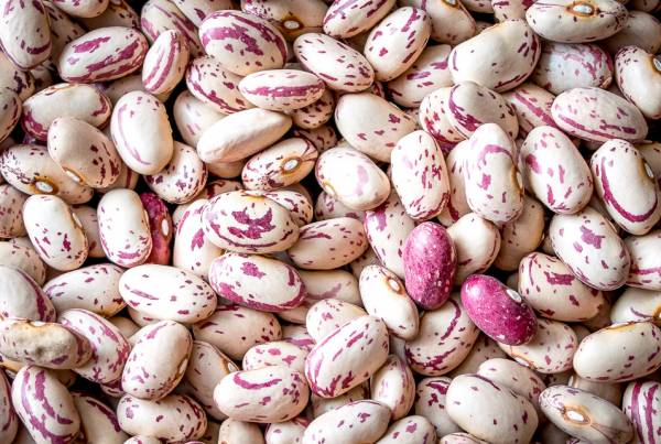 photo.Pinto beans.photo