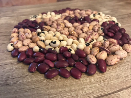 photo.beans