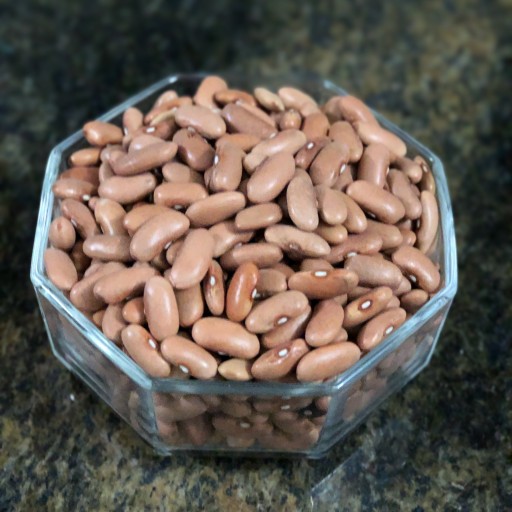 photo.mehrgrains.Agricultural beans