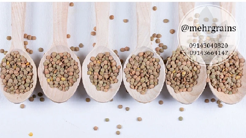 بهترین عدس برای کدام شهر است