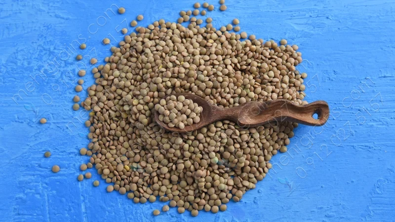 بهترین عدس برای کدام شهر است