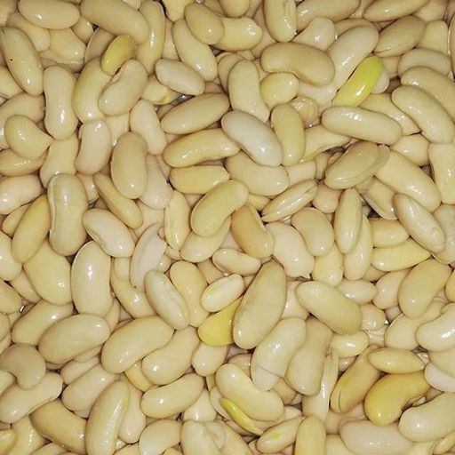 mehrgrains.Agricultural beans
