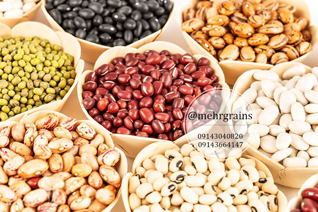 تجارت حبوبات و مشکل اصلی صادرات چیست؟
