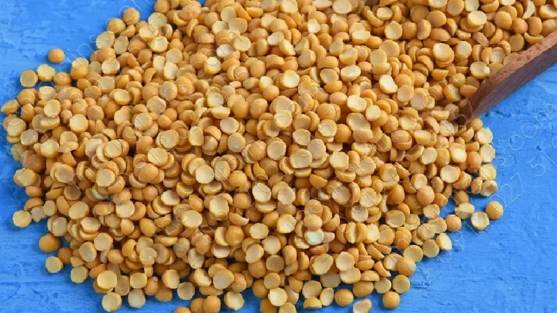 انواع لپه روس