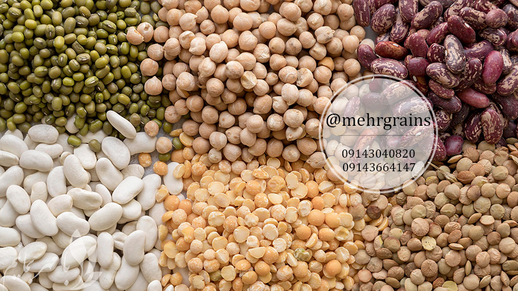 قیمت جهانی حبوبات و تجارت لپه