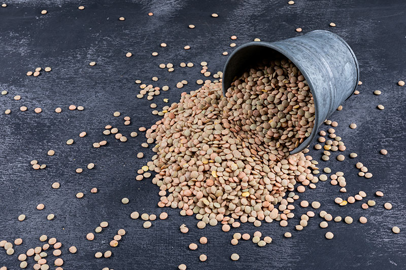 Lentils.photo