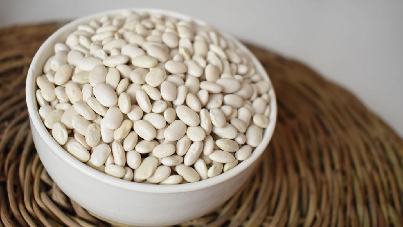 صادرات لوبیا سفید 