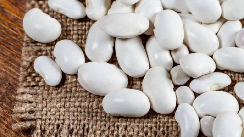 صادرات لوبیا سفید