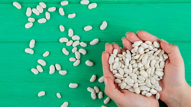 صادرات لوبیا سفید 