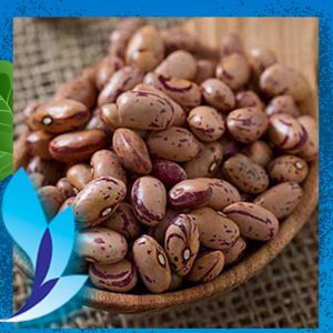 قیمت لوبیا چیتی دستچین