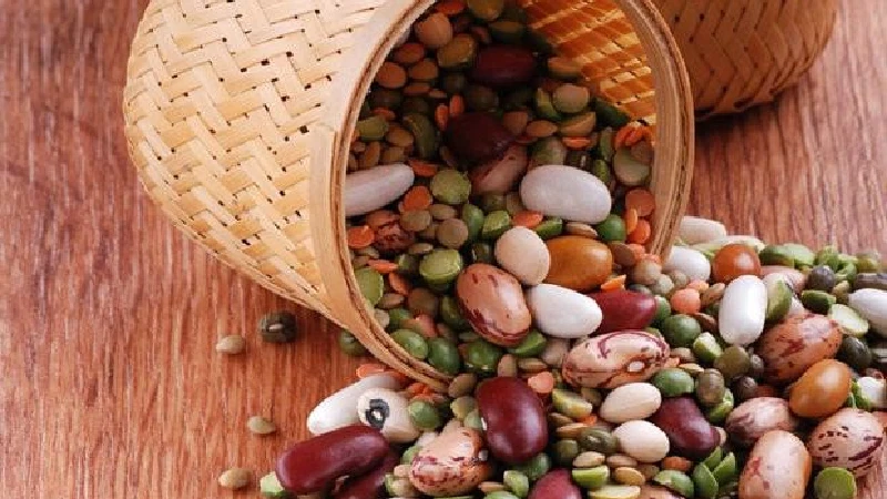 قطب تولید لوبیا در ایران