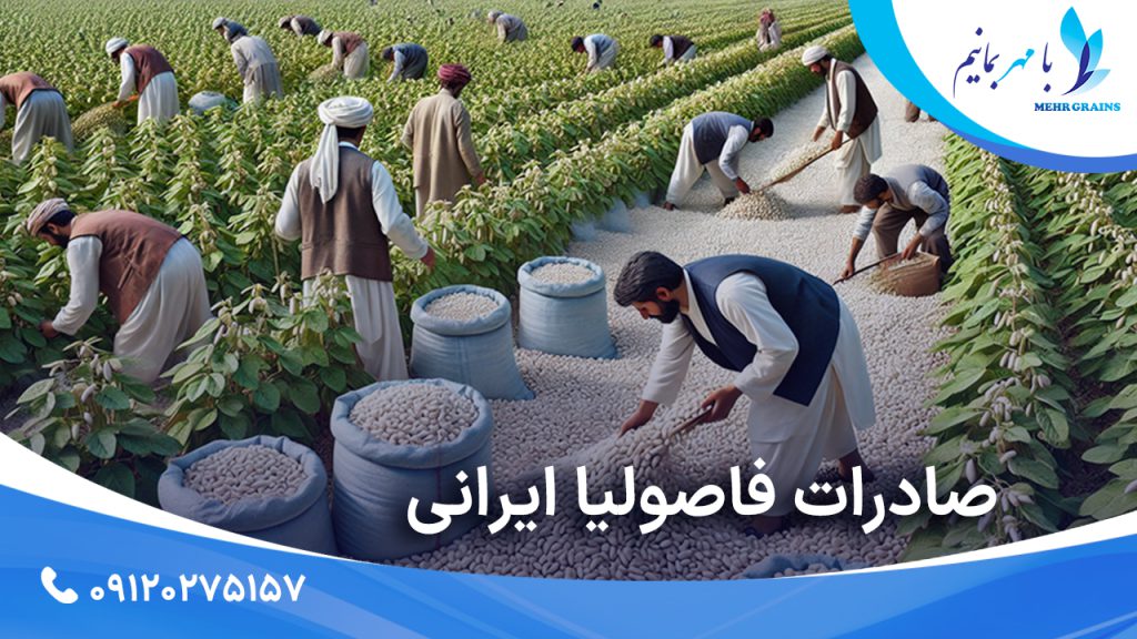 اهمیت و نقش صادرات فاصولیا ایرانی در بازارهای بین‌المللی