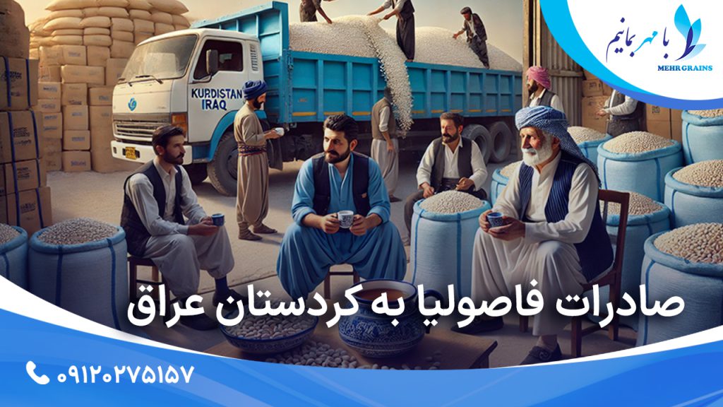 صادرات فاصولیا به کردستان عراق : فاصولیا چیست و مصرف آن در کردستان عراق چگونه است؟