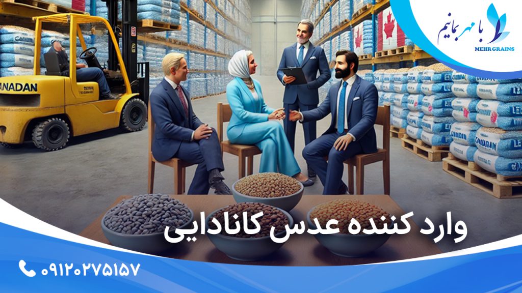 شرکت واردکننده عدس از کانادا؛ بررسی اهمیت و نقش محوری واردات عدس کانادایی
