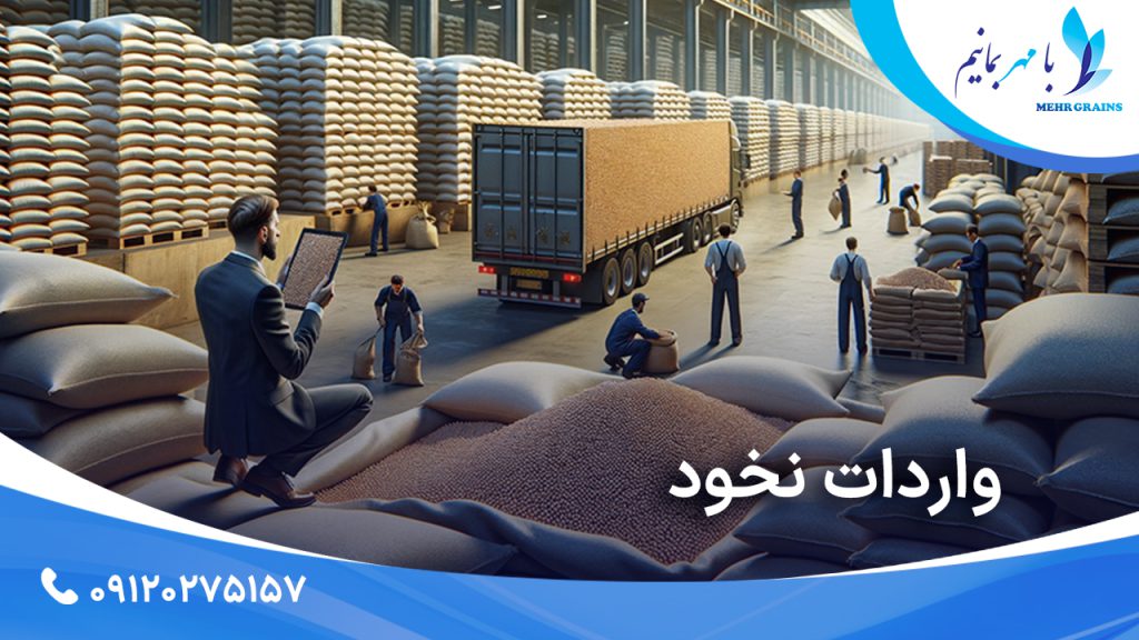 واردات نخود؛ بررسی اهمیت و نقش آن در تامین نیازهای بازار داخلی