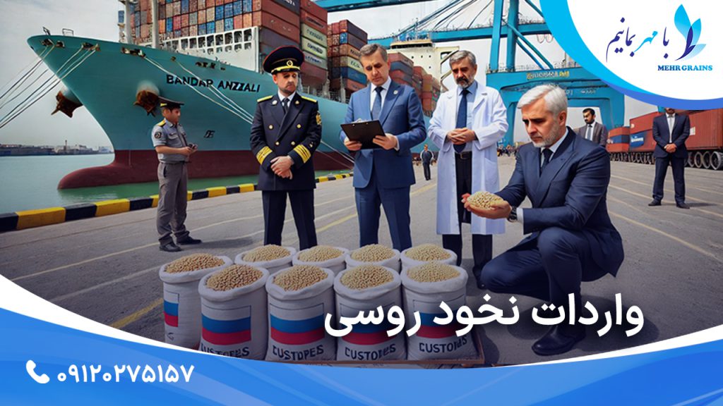 واردات نخود روسی؛ بررسی اهمیت و مزایای این محصول در بازار ایران
