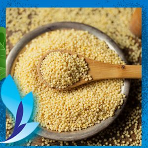 قیمت ارزن ازبک