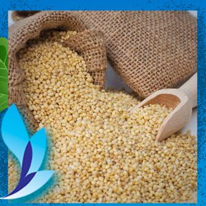 قیمت ارزن روس