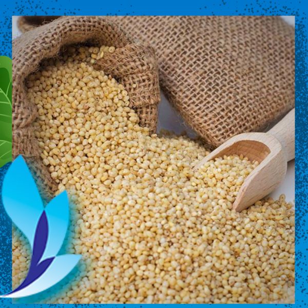 قیمت ارزن روس