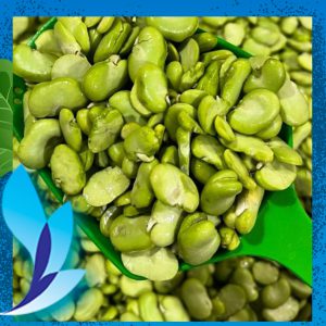 قیمت باقلا سبز سوری