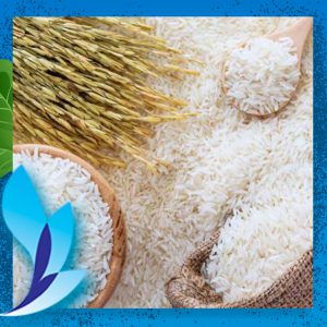 قیمت برنج ندا