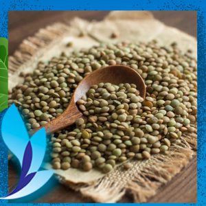 قیمت عدس درشت یایلا