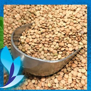 قیمت عدس ریز سوییس سنگاپور