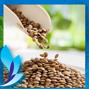 قیمت عدس ریز مراکی