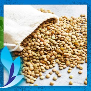 قیمت عدس ریز ویکتوریا