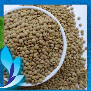 قیمت عدس ریز یایلا