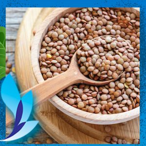 قیمت عدس کانادایی آرمادا