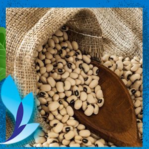 قیمت لوبیا چشم بلبلی میانمار