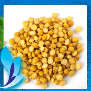 قیمت لپه ریز آبی