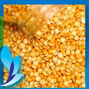 قیمت لپه ریز هندی