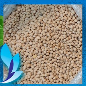 قیمت نخود کانادایی