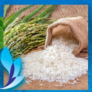 قیمت برنج شیرودی