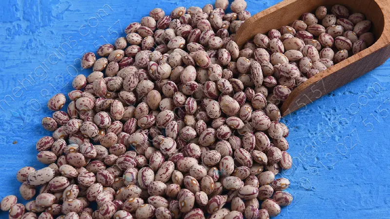 لوبیا چیتی خارجی