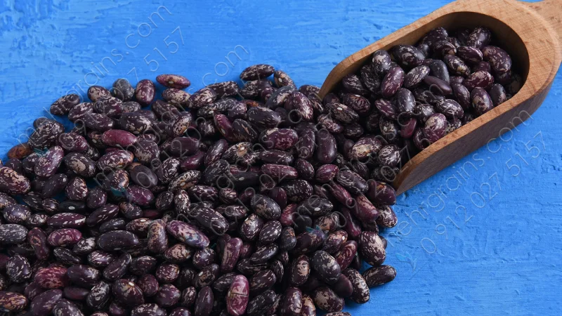 لوبیا چیتی خارجی