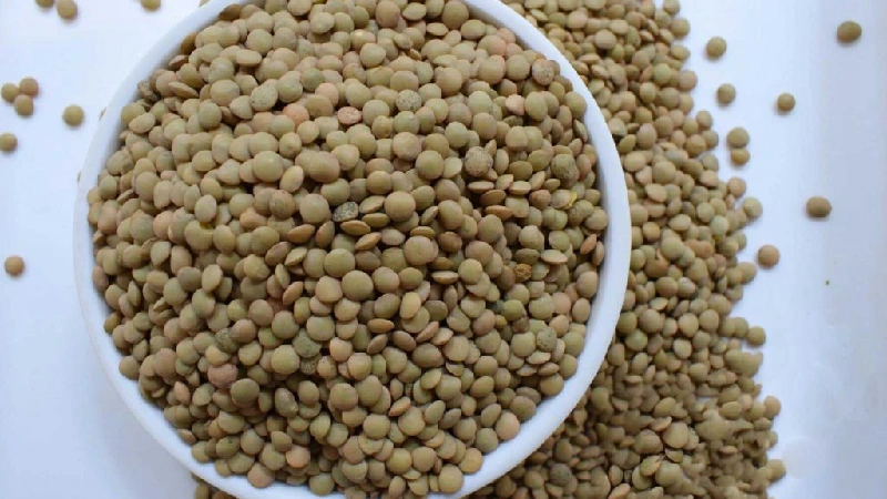 Russian lentils