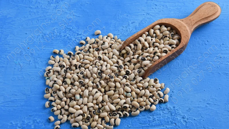 لوبیا چشم بلبلی